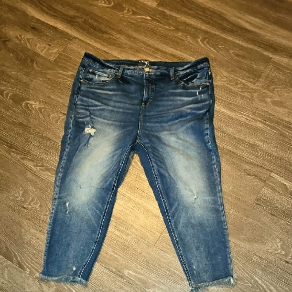 Terra & Sky Distressed Medium Blue Ankle Jeans